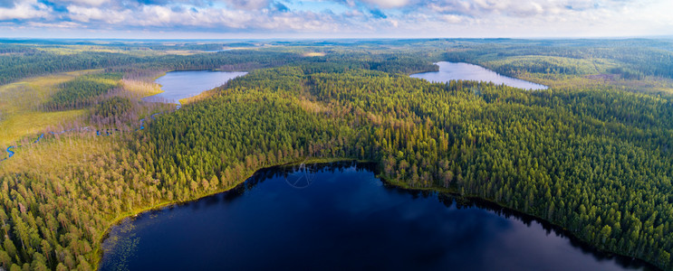 美丽无人机风景优美俄罗斯卡雷利亚地区森林和湖泊的空中全景观俄罗斯图片