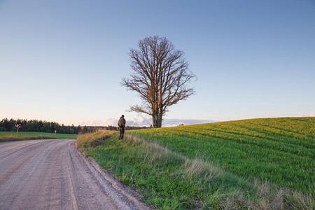 绿色拉脱维亚Cesis市摄影师用橡树和草地拍摄2019年5月日老的单身图片