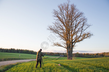 公园天空农业拉脱维亚Cesis市摄影师用橡树和草地拍摄2019年5月日图片
