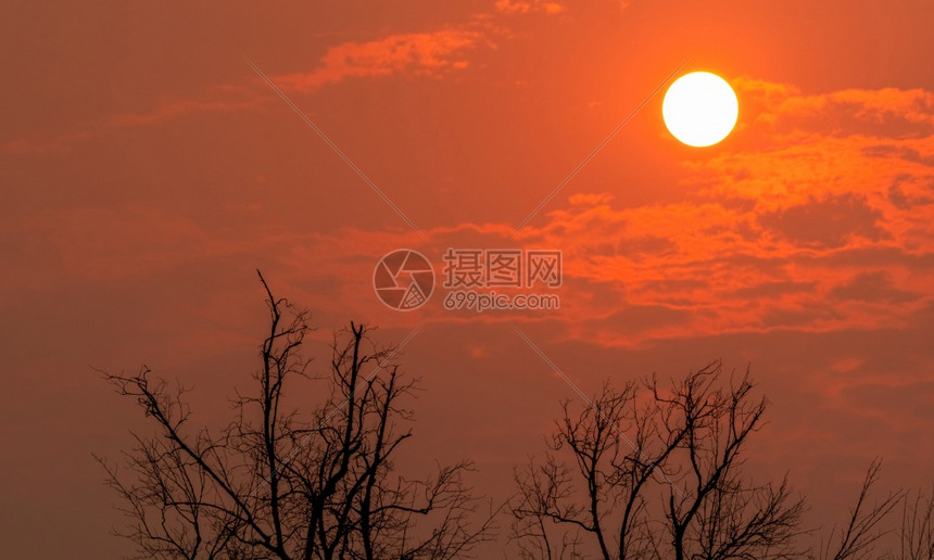 景观热安静的和平宁抽象背景自然的树枝状图案大自然的风景夏日天空月光之地蓝天明日夜圣树在红夕阳下枯树图片