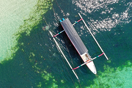 从印度尼西亚巴厘港的一艘传统船只上方空中射出的树木海岸绿色图片