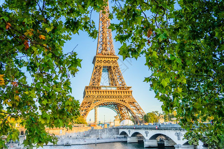 日落桥城市Eiffel塔巴黎法国透过绿叶看望背景图片