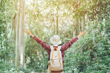 自由旅游行者年轻女孩带着背包举起手在森林中享受美丽的大自然图片