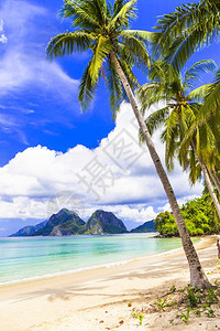 热带海滩与椰子棕榈树菲律宾热带海滩及菲律宾极美的尼多岛亚马利湾菲律宾热带海滩和菲律宾美丽的尼多岛全景亚洲树木图片