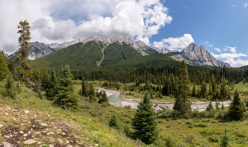 环境加拿大艾伯塔省班夫公园BowValleyParkway附近的景观云路德维希图片