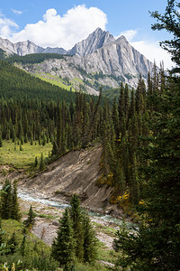 旅行加拿大艾伯塔省班夫公园BowValleyParkway附近的景观谷美丽图片