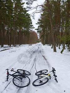 两辆自行车在雪地里一个冬季森林和两辆自行车在路上一个冬季森林和两辆自行车在路上动落下欧洲图片