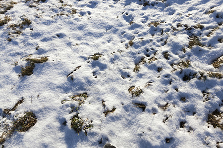 明亮的闪质地冬季农耕田面是雪覆盖下的之后白图片