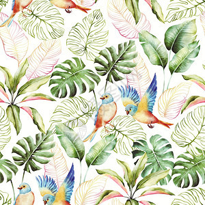 水颜色异国鸟和棕榈叶异国印刷品背景的潮地印料风色异国鸟和棕榈叶时髦的插图丛林图片