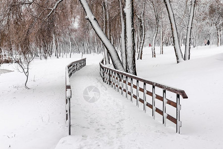 oopicapi宁静乌克兰基辅纳塔卡公园被雪覆盖的木环脚桥季节图片