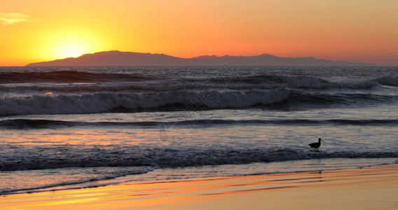 晚上日落在海洋其背景是一座岛屿水克鲁兹图片
