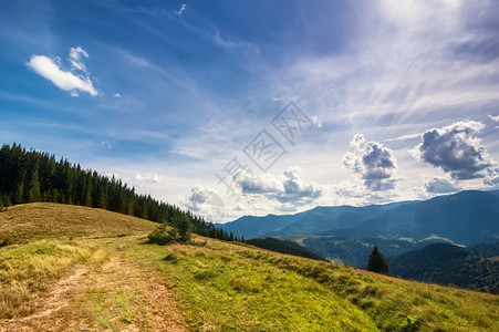 晴空下的山脉和高地森林图片