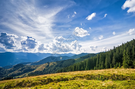 晴空下的山脉和高地森林图片