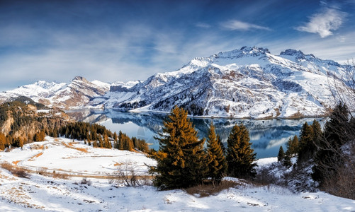 高的风景优美健康冬季的雪地景观树木和山丘覆盖着积雪图片