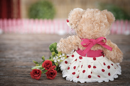 目的可爱泰迪熊在情人节概念中拿着一束玫瑰花有写空间AF点选择和模糊的文调形象快乐图片