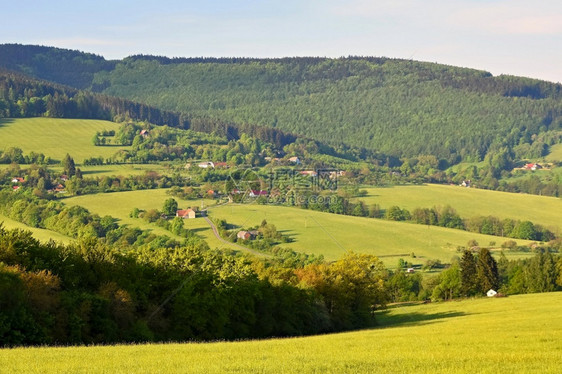 捷克白喀尔巴阡山脉欧洲森林草原和山丘的自然景象夏季山区美丽的地貌乡村秋天图片