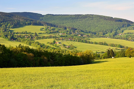 环境捷克白喀尔巴阡山脉欧洲森林草原和山丘的自然景象夏季山区美丽的地貌欧洲自然农村图片