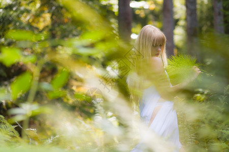 一个像仙女般有魅力的人穿着白衣服在美丽的荒野后面地平形式公主女孩可爱的图片