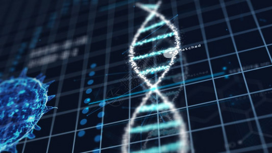 遗传全息图HUD界面和生物学概念数字屏幕技术创新的3D插图根据绿色电网背景对医学技术螺旋式DNADNT染色体实验室和分析进行抽象图片