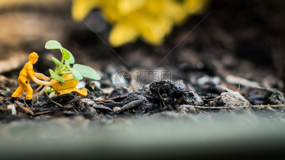 花环境微型人员团队为绿色世界项目检查和植树我们为更美好的世界植树工具图片