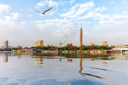 棕榈开罗的尼河埃及电视塔观看镇市中心图片