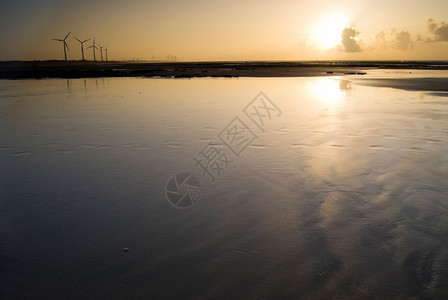 户外海滨日落风力发电机带植物友好图片