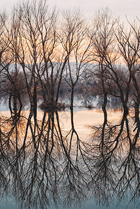 树木日落环境黄昏湖风景观中的反射图画Dustsk湖图片