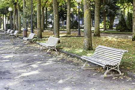 一种带树木自然的公园中休息座椅详情家具棕色的图片