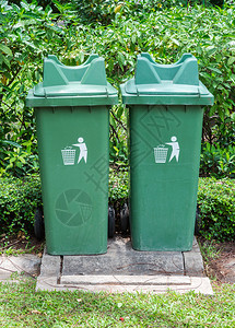 公园热带花的双绿色垃圾箱环境蓝色的目图片