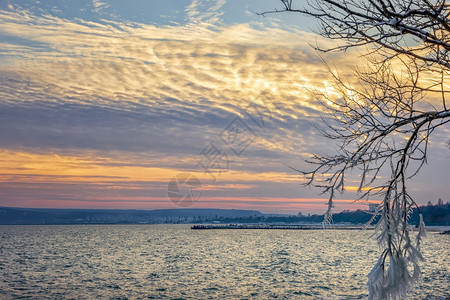 冬季海景日落和树枝冰冻支撑冷黄昏图片