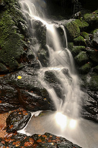 风景叶子自然在小溪上美丽的瀑布天然多彩背景森林的石头上有自来水溪流图片