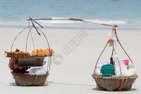 阳光海滩上的鲜捕食者热带假期图片