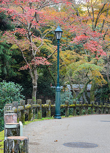 观光旅游秋天日本大阪明oo或米诺公园日本最古老的公园之一自然图片