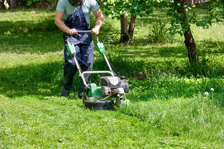 一名园丁在绿色草坪上用汽油割草机在花园修剪图片