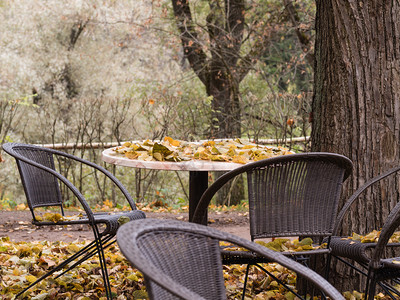 秋天树林传统的封闭咖啡厅空桌铺满秋天叶的空闲咖啡厅秋天空阳台咖啡厅户外秋天瀑布在桌子和椅上的落叶黑色树背景