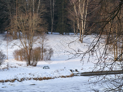 冷杉冰和森林下河流的景色冬季风北方水图片