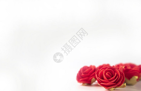 新鲜的红色植物一束天鹅绒红玫瑰隔离在白色背景上与玫瑰情人节卡片概念浪漫图片
