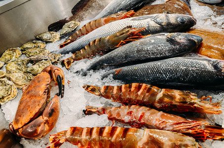 鲂海鲜市场摊位冷冰床上各种螃蟹牡蛎和龙虾的高角度静物海鲜市场摊位冷冰床上各种螃蟹牡蛎和龙虾的高角度静物种类生的图片