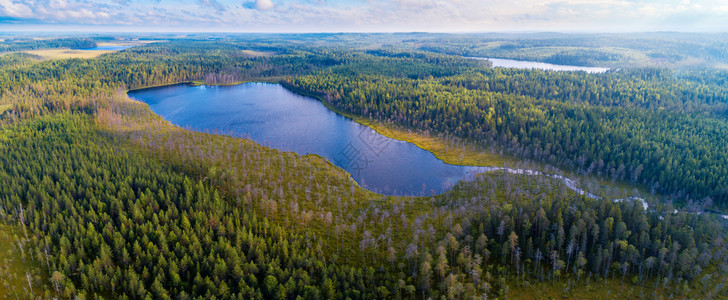 池塘针叶林俄罗斯卡雷利亚地区森林和湖泊的空中全景观俄罗斯遥远图片