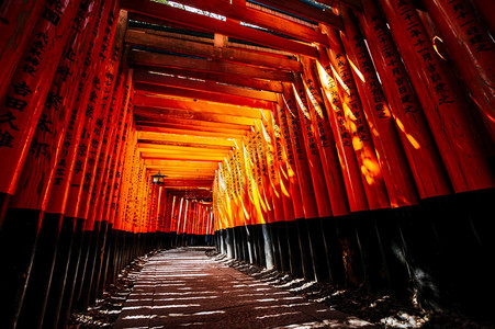 日本京都FushimiInariTaisha神社数千个红色托瑞门走道东方的观光图片