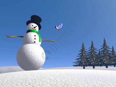 一个雪人站在上与一只鸟说话用美丽的蓝天雪人和鸟3D转化农村冰乡的图片