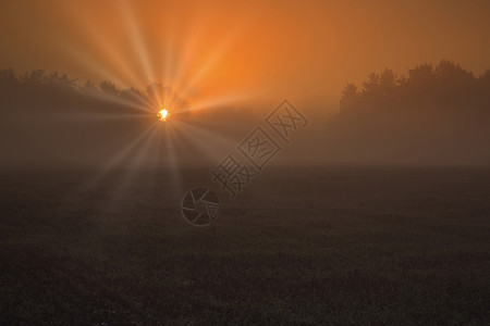 雾气笼罩的落日光辉图片