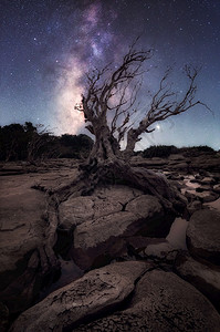 美丽的银河系有干树岩石和沿湄公河常清莫布的银系阴影泰国乌本拉特恰坦尼与干树汗江暴徒共聚一堂银河系旅行黑暗的星图片