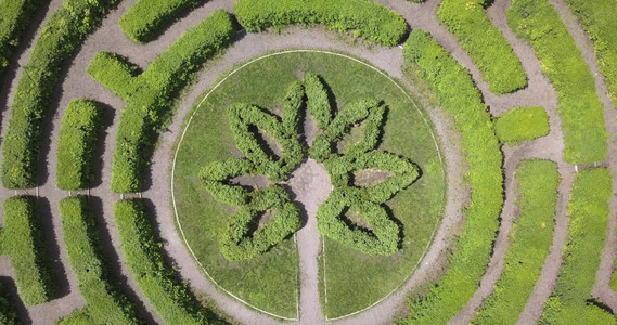 户外飞涨园艺对美丽的绿色自然迷宫和夏季城市植物园道路的空中观察对植物园中迷宫的空观察进行放大分析扩植物园中的荒凉风景图片