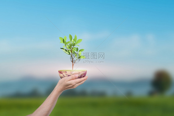 人类手握着地球环树长在绿色自然背景上由美国航天局提供的这张图元素科学健康环境图片