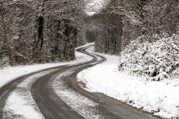 冬天下雪的公路蓝色森林冰图片