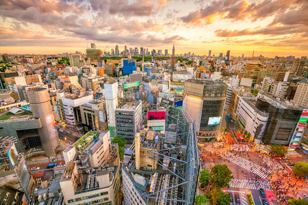 亚洲从日本东京黄昏时的顶端观点横渡人行道建筑学图片