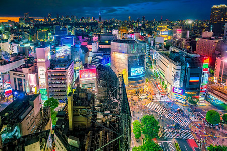 最佳广告牌从日本东京黄昏时的顶端观点横渡穿越图片