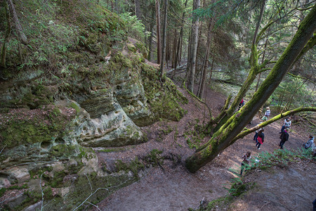 景观高的拉脱维亚利帕市Liepa旧石块和林木区人们在春季旅行和绿色自然克劳亚图片