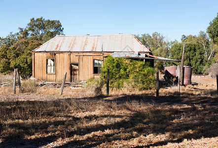 澳大利亚新南威尔士州沃伦附近的一个农场上旧房子制作破不堪树木图片
